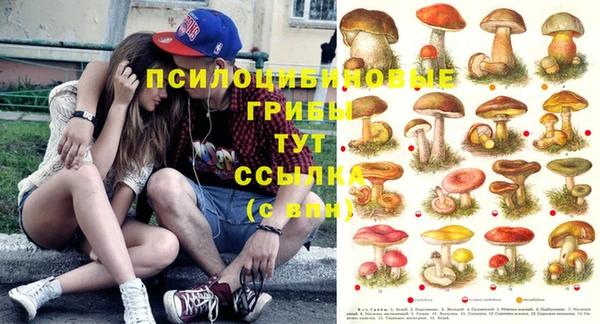 дурь Баксан